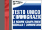 Diritto dell'immigrazione